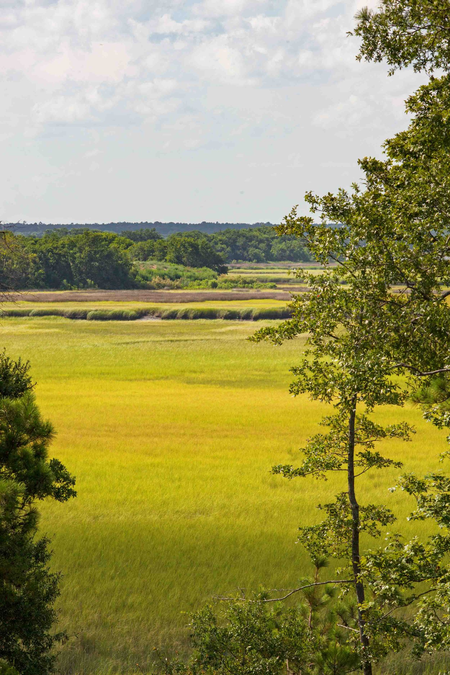 cooper river final 1